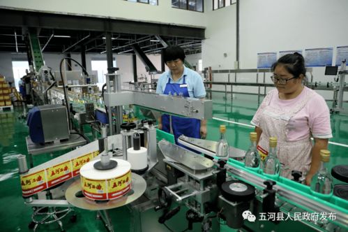 安徽淮酒新廠正式啟用，開(kāi)啟酒類(lèi)經(jīng)營(yíng)新篇章